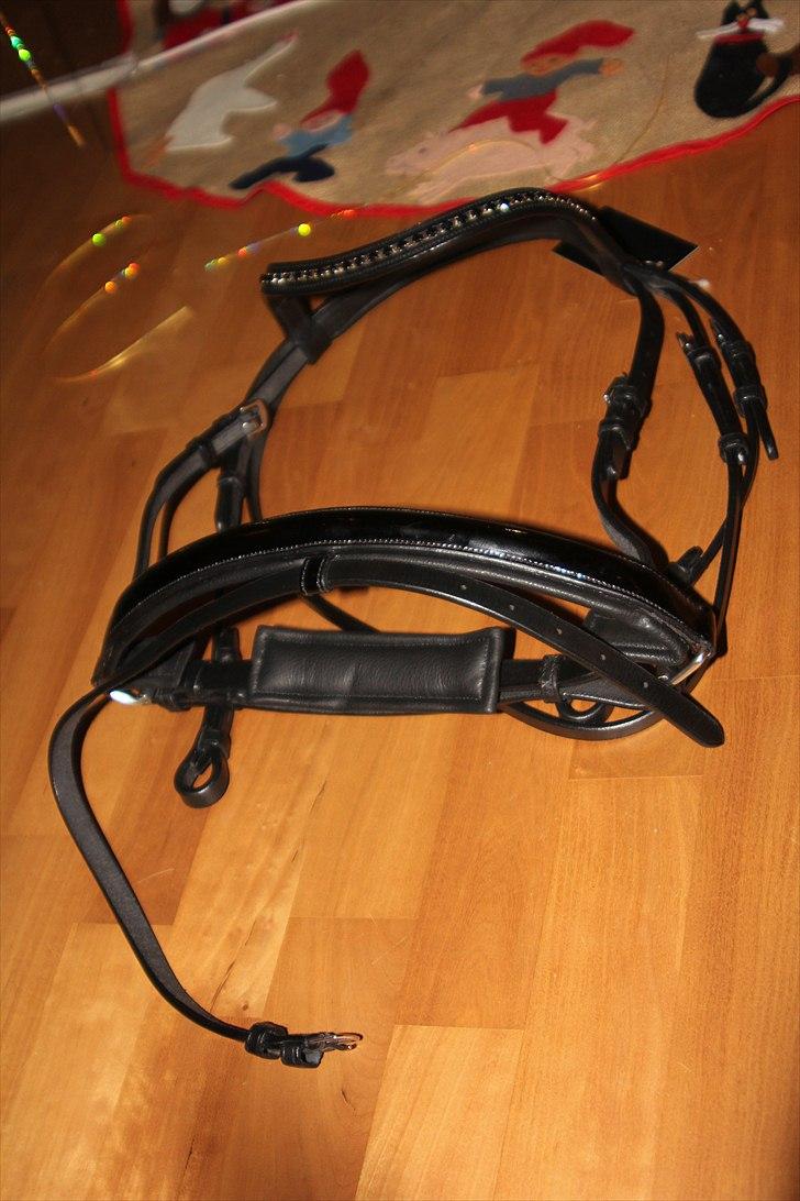 Julegaver 2010 :P - Trense til samson, fra Cladrigde House - fra mormor og morfar! billede 25