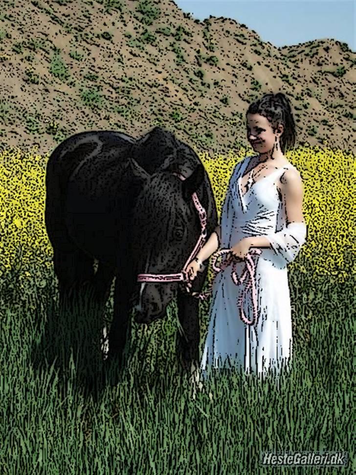 Tegnefilms figur til andre - Pippi billede 139