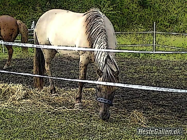 Tegnefilms figur til andre - Trausti igen billede 143