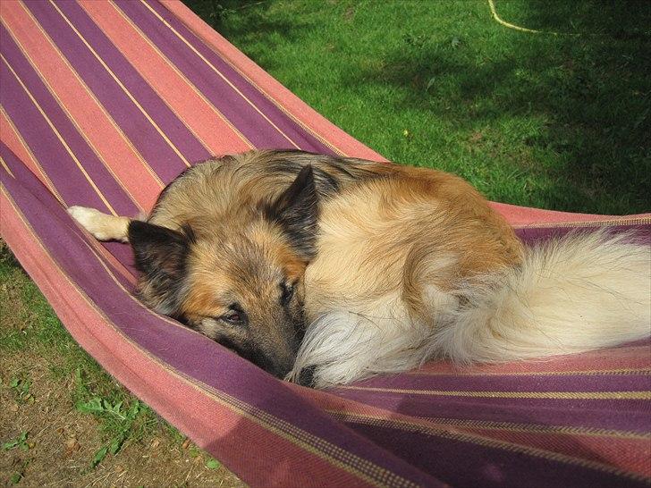 Ridelejr, BBH :D:D billede 20