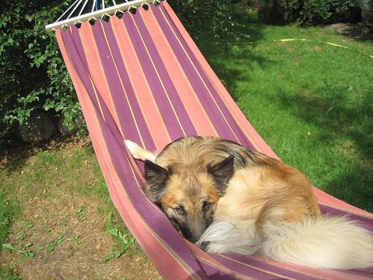 Ridelejr, BBH :D:D billede 21