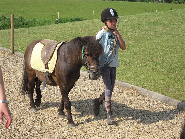 Ridelejr, BBH :D:D billede 22