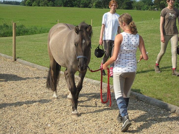 Ridelejr, BBH :D:D billede 23