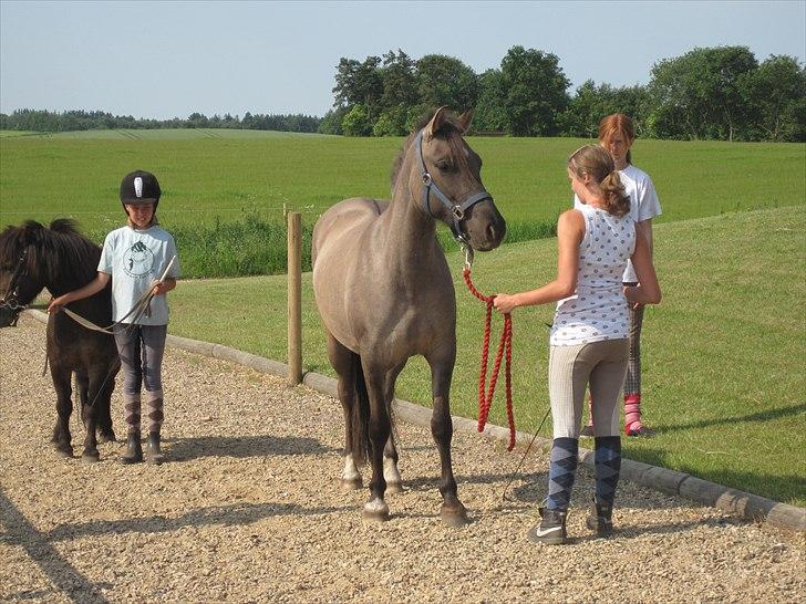 Ridelejr, BBH :D:D billede 24