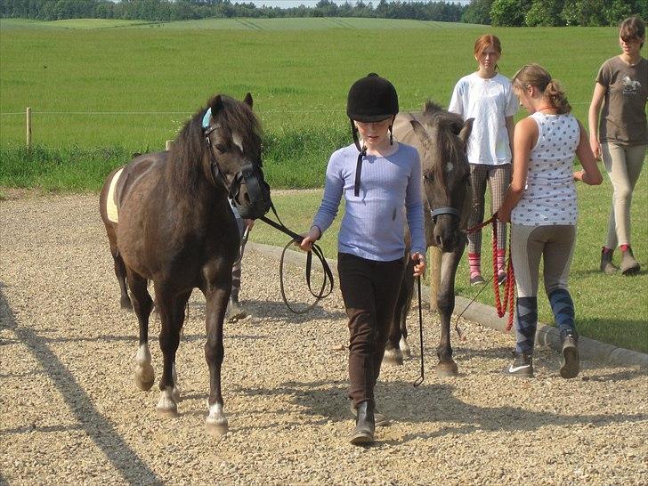 Ridelejr, BBH :D:D billede 26