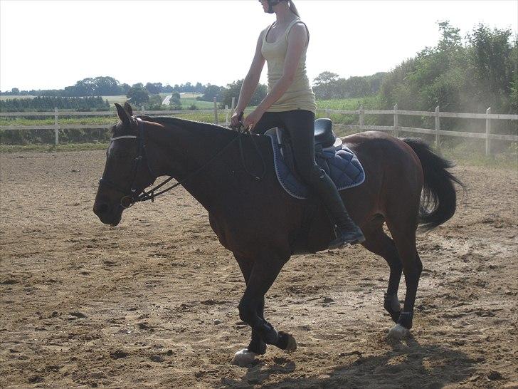 Ridelejr, BBH :D:D billede 29