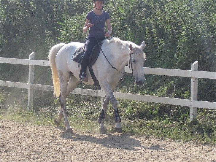 Ridelejr, BBH :D:D billede 30