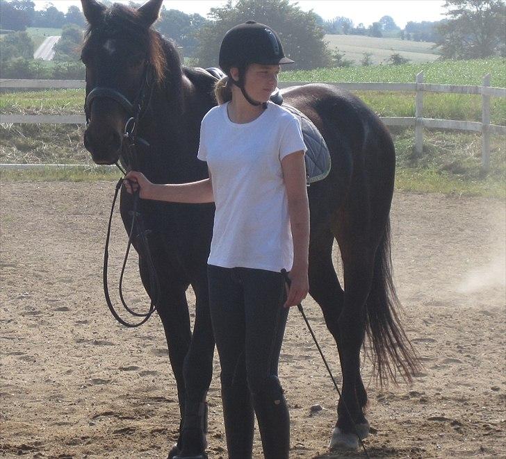 Ridelejr, BBH :D:D billede 31