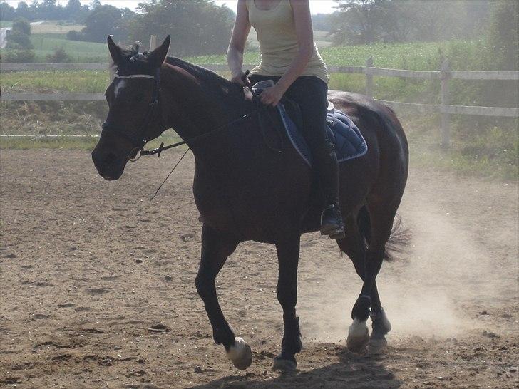 Ridelejr, BBH :D:D billede 33