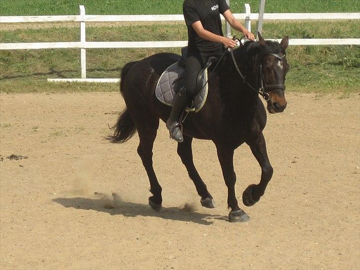 Ridelejr, BBH :D:D billede 34