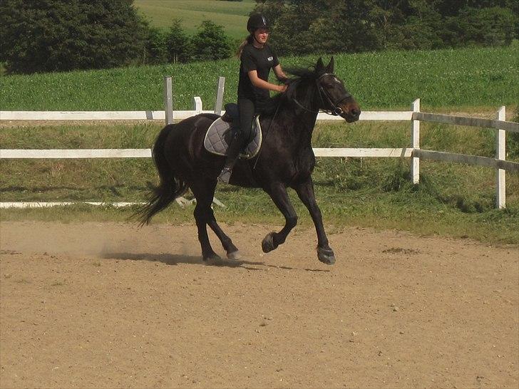 Ridelejr, BBH :D:D billede 35