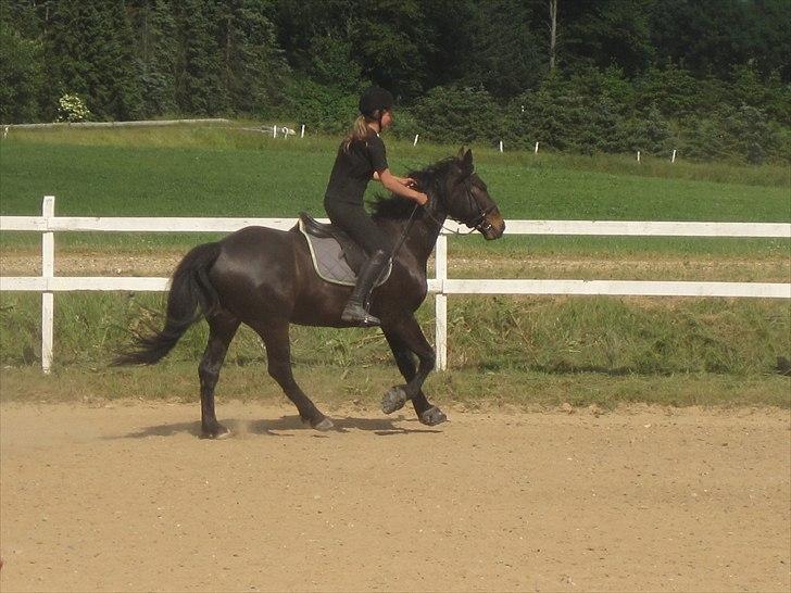 Ridelejr, BBH :D:D billede 36