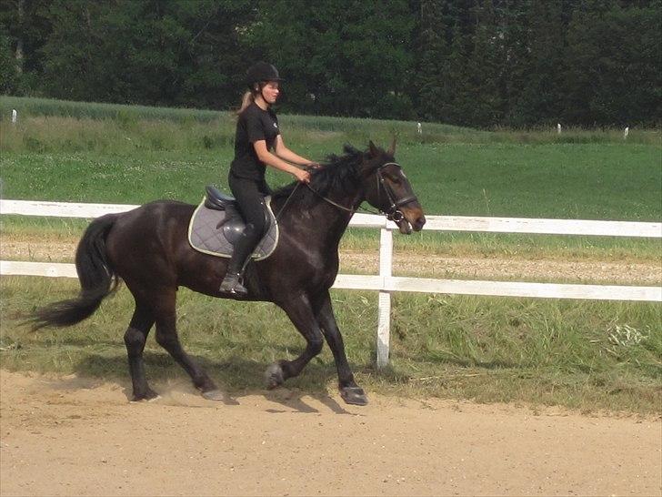 Ridelejr, BBH :D:D billede 37