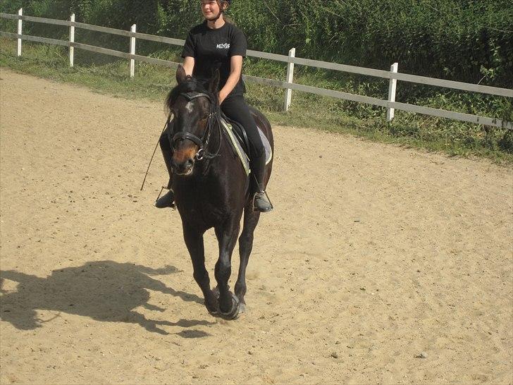 Ridelejr, BBH :D:D billede 38