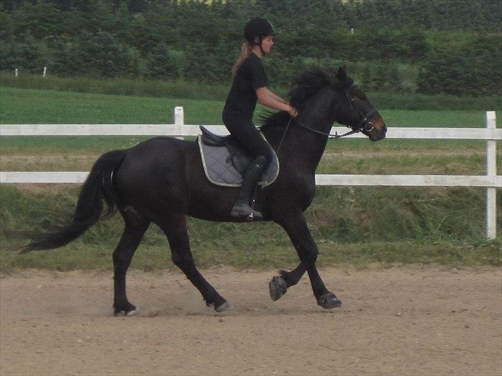 Ridelejr, BBH :D:D billede 39