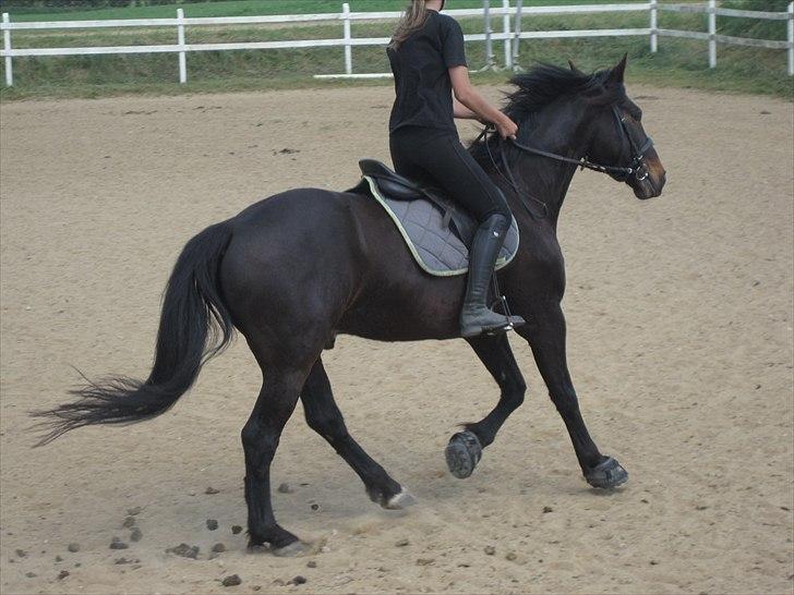 Ridelejr, BBH :D:D billede 40