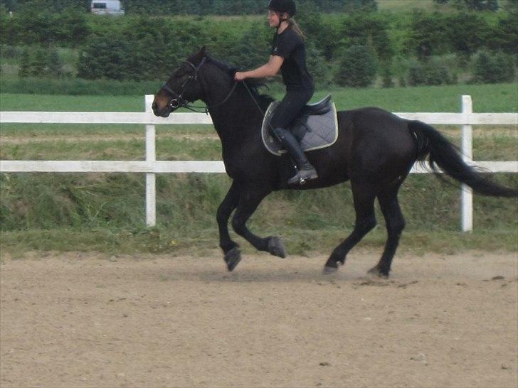 Ridelejr, BBH :D:D billede 41