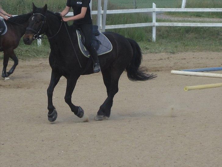 Ridelejr, BBH :D:D billede 43