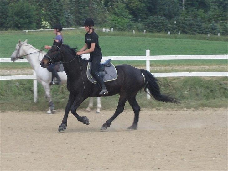 Ridelejr, BBH :D:D billede 44