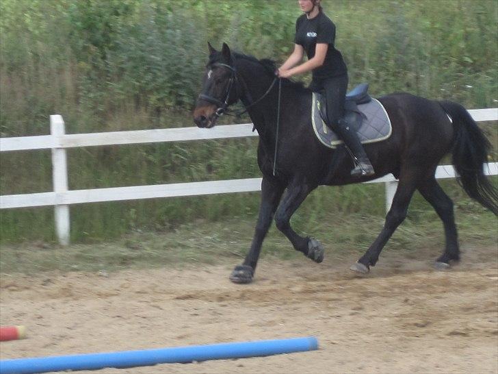 Ridelejr, BBH :D:D billede 45