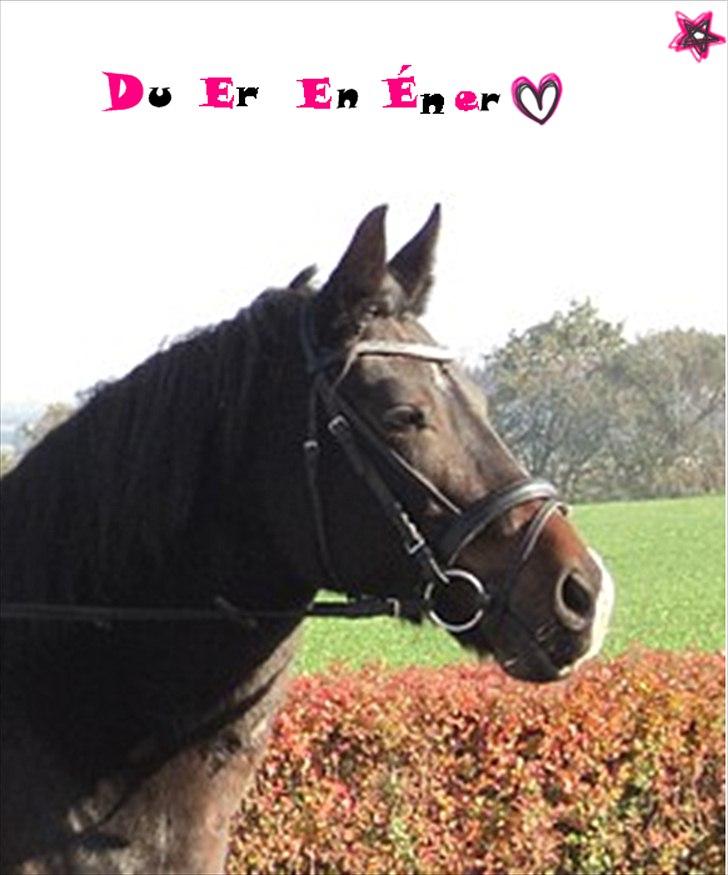 Billeder jeg har lavet  billede 33