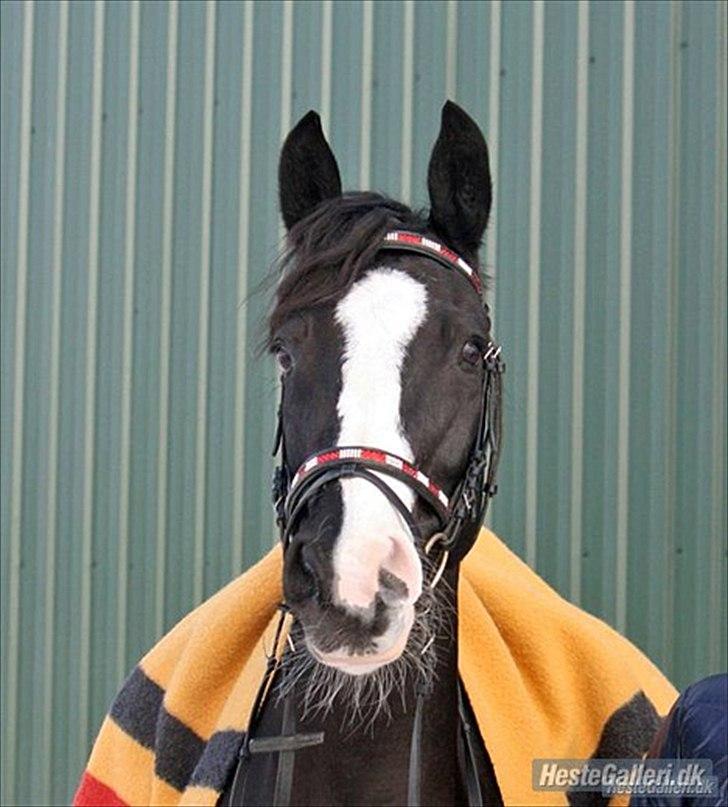 Alt muligt billede 22