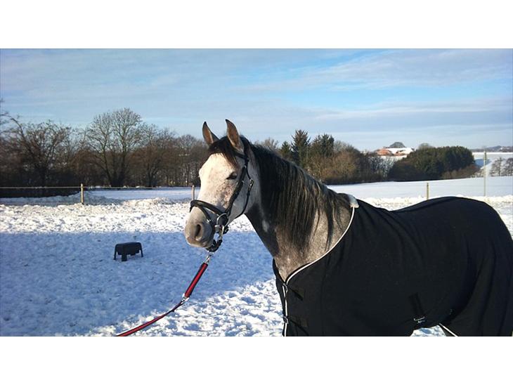 {{currentPhoto.altText}} billede {{currentPhoto.number}}