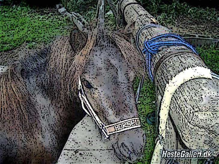 Tegnefilms figur til andre - Tøsen billede 146