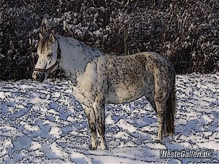 Tegnefilms figur til andre - Cirkeline billede 149