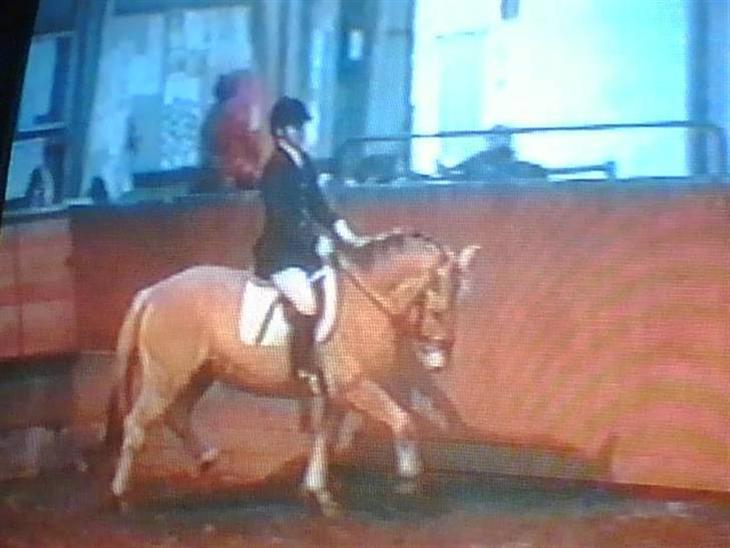 {{currentPhoto.altText}} billede {{currentPhoto.number}}