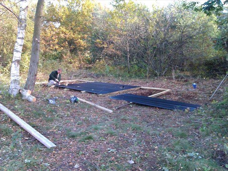 Hestebo ala Als Odde billede 1