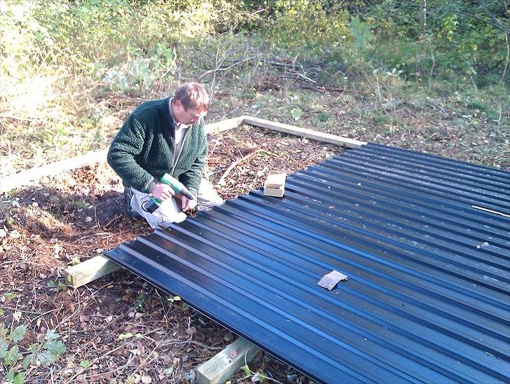 Hestebo ala Als Odde billede 2