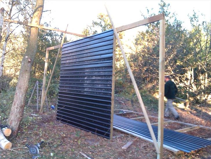 Hestebo ala Als Odde billede 3