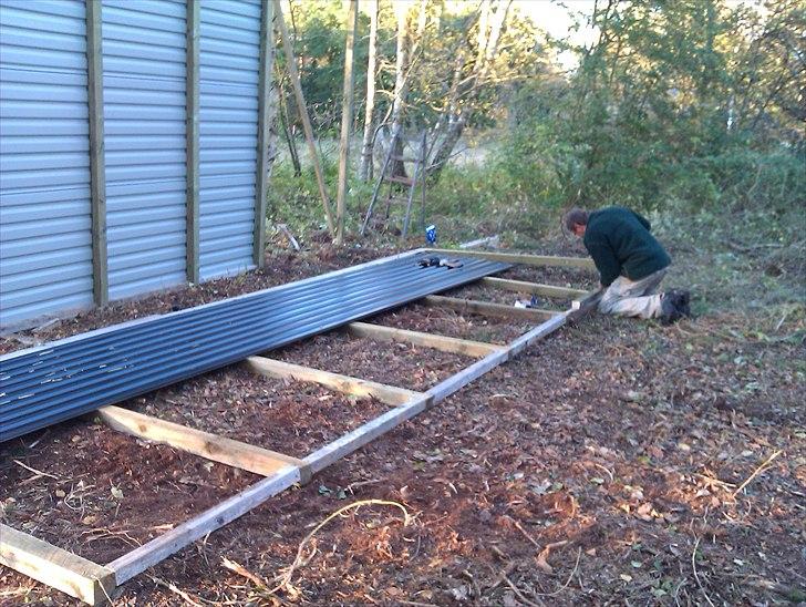 Hestebo ala Als Odde billede 4