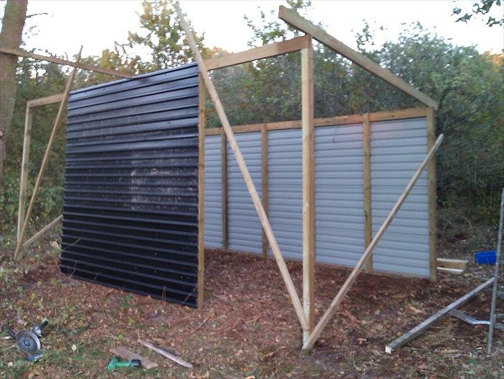 Hestebo ala Als Odde billede 5