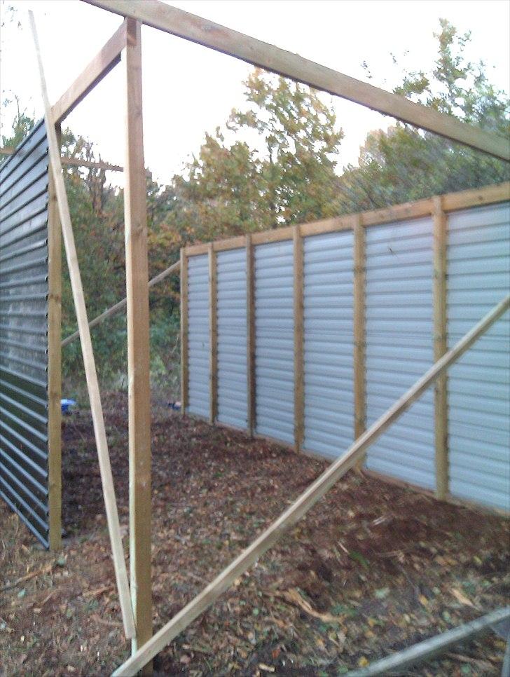 Hestebo ala Als Odde billede 6