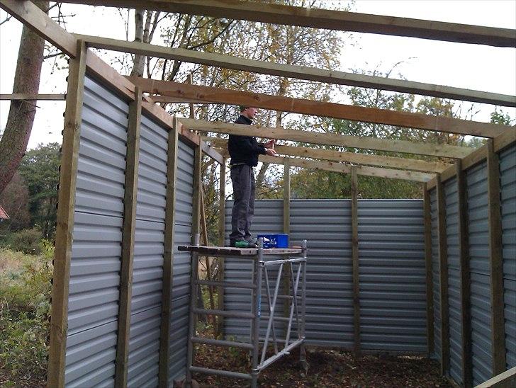 Hestebo ala Als Odde billede 7