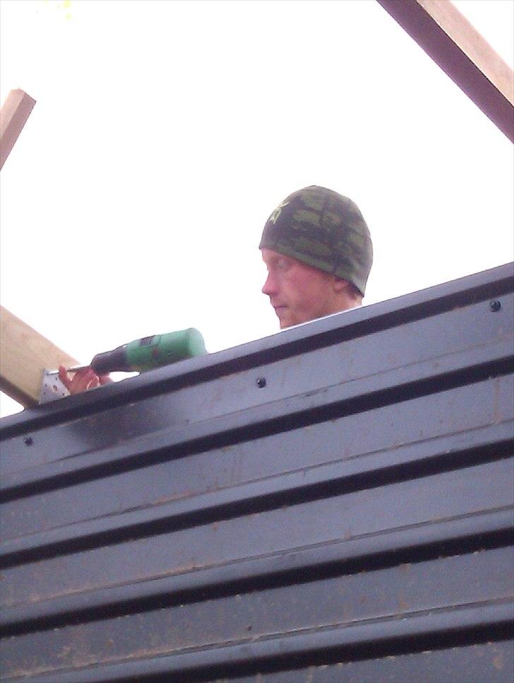 Hestebo ala Als Odde billede 8