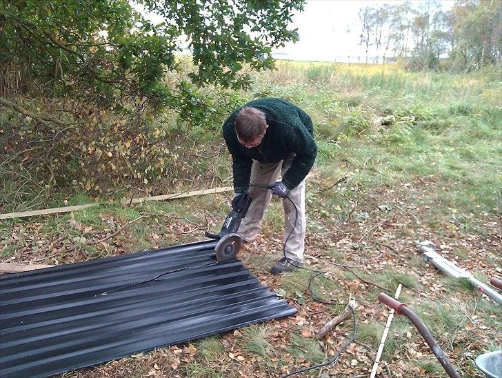 Hestebo ala Als Odde billede 9