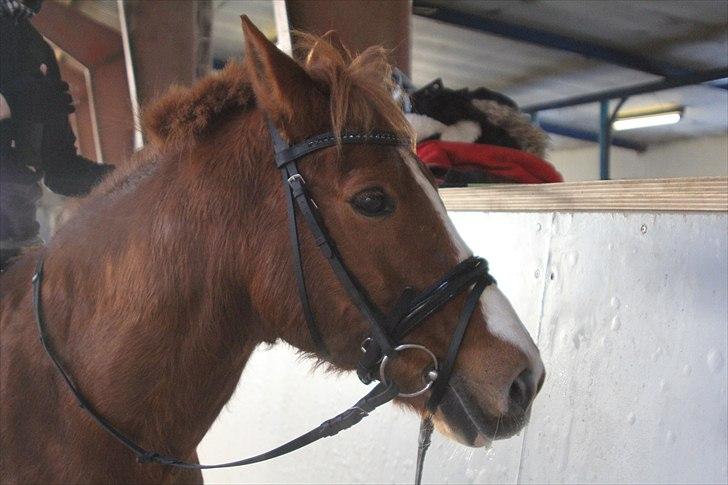 Julegaver 2010 :P billede 27