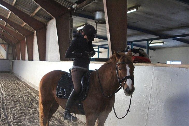 Julegaver 2010 :P billede 28