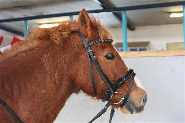 Julegaver 2010 :P billede 29