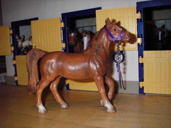 Rosengaarden's Schleich Heste - Navn: Rosengaarden's Savanna, Køn: Hoppe, Race: Araber, Mor: Seglawi, Far: Koheilan, Alder: 4½ år, Kommentar: Savanna er næsten færdig med at blive tilredet. Hun er en dejlig men frisk og lidt vild ridehest. Hun har fået sit første føl: Koh Hai. billede 65