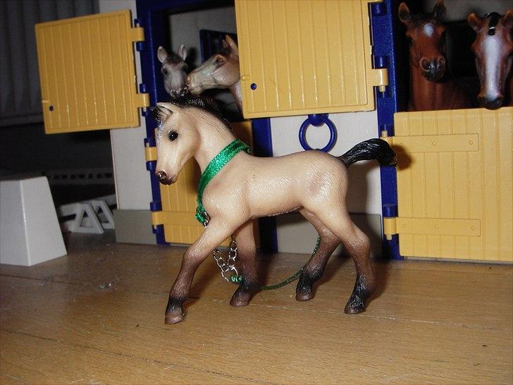 Rosengaarden's Schleich Heste - Navn: Rosengaarden's Lantino, Køn: Hingst, Race: Andalusier, Mor: RG's Esmeralda, Far: RG's Amigo, Alder: ½  år, Kommentar: Lantino er et meget selvsikkert føl. Han elsker at drille de voksne heste og han elsker at lege med de andre føl. Vi er sikre på at han ligesom sine forældre vil blive noget stort inden for dressuren. billede 68