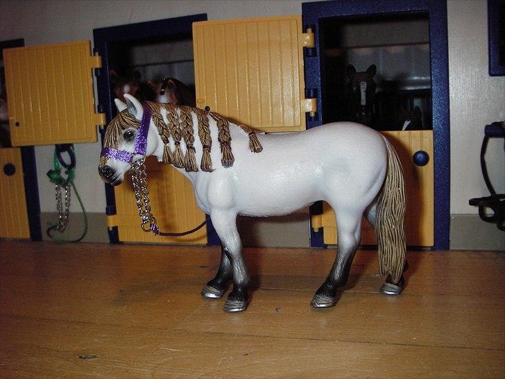 Rosengaarden's Schleich Heste - Navn: Rosengaarden's Esmeralda, Køn: Hoppe, Race: Andalusier, Mor: Pura Raza Española's Esperanse, Far: Pura Raza Española's Sergio, Alder: 8 år, Kommentar: Esmaralda er af meget fin spansk afstamning og hun er importeret fra spanien. Hun er desuden meget dygtig til dressur og hun har da også vundet et par præmier. billede 67