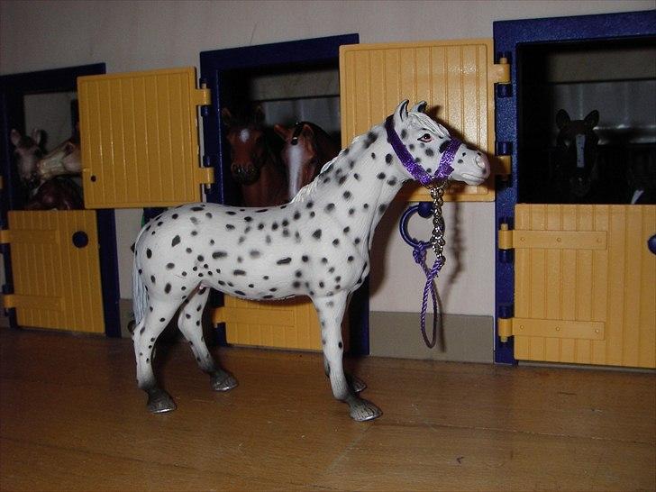 Rosengaarden's Schleich Heste - Navn: Rosengaarden's Belladonna, Køn: Hoppe, Race: Knabstrupper, Mor: Ukendt, Far: Ukendt billede 70