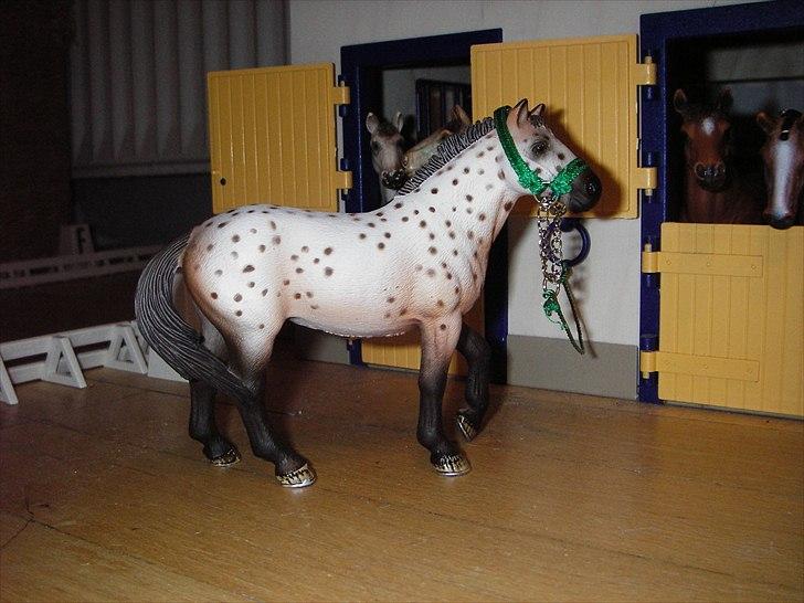 Rosengaarden's Schleich Heste - Navn: Rosengaarden's India, Køn: Hingst, Race: Knabstrupper, Mor: Ukendt, Far: Ukendt billede 69