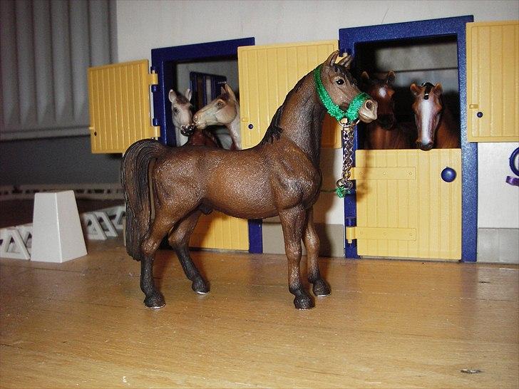 Rosengaarden's Schleich Heste - Navn: Rosengaarden's Shamir, Køn: Hingst, Race: Araber, Mor: Ukendt, Far: Ukendt billede 73