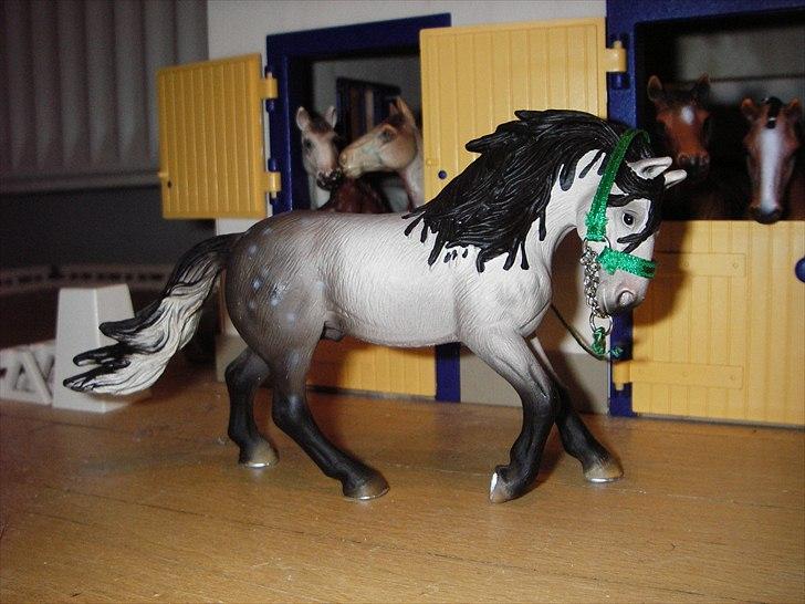 Rosengaarden's Schleich Heste - Navn: Rosengaarden's Amigo, Køn: Hingst, Race: Andalusier, Mor: Pura Raza Española's Nerea, Far: Pura Raza Española's Pablo, Alder: 8 år, Kommentar: Amigo er en meget meget dygtig dressur hest og han har vundet en masse præmier. Han er også sådan en tænd/sluk hest hvilket gør ham meget behagelig at ride på. billede 66