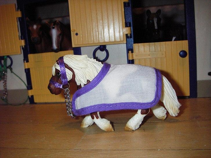 Rosengaarden's Schleich Heste - Navn: Rosengaarden's Miss Zippie, Køn: Hoppe, Race: Shetlænder, Mor: Greyhorse's Be Happy, Far: Greyhorse's Be Magic, Alder: 6 år, Kommentar: På ridebanen er Miss Zippie rigtig rolig og sød men fra jorden kan hun godt blive lidt vild. billede 57